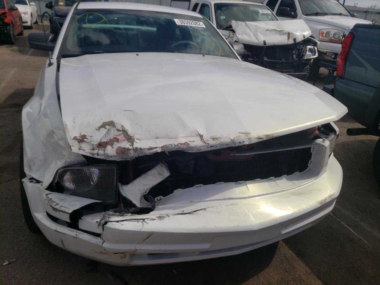 Photo 9 from auction – 2005 FORD MUSTANG with VIN 1ZVFT80N655117746