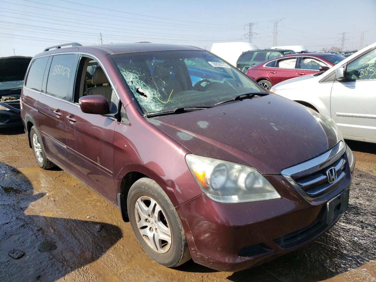 HONDA ODYSSEY 2007 with VIN 5FNRL38647B442722 - Photo from auction