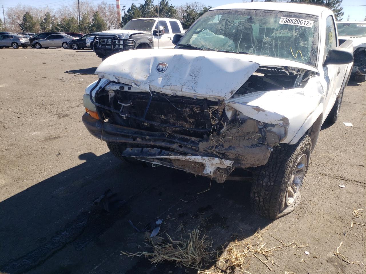 Photo 9 from auction – 2001 DODGE DAKOTA with VIN 1B7GG26N01S242236