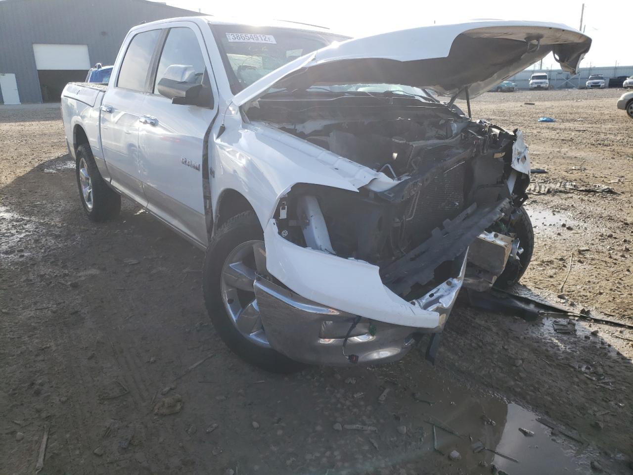 DODGE RAM 1500 2010 with VIN 1D7RV1CT7AS159761 - Photo from auction