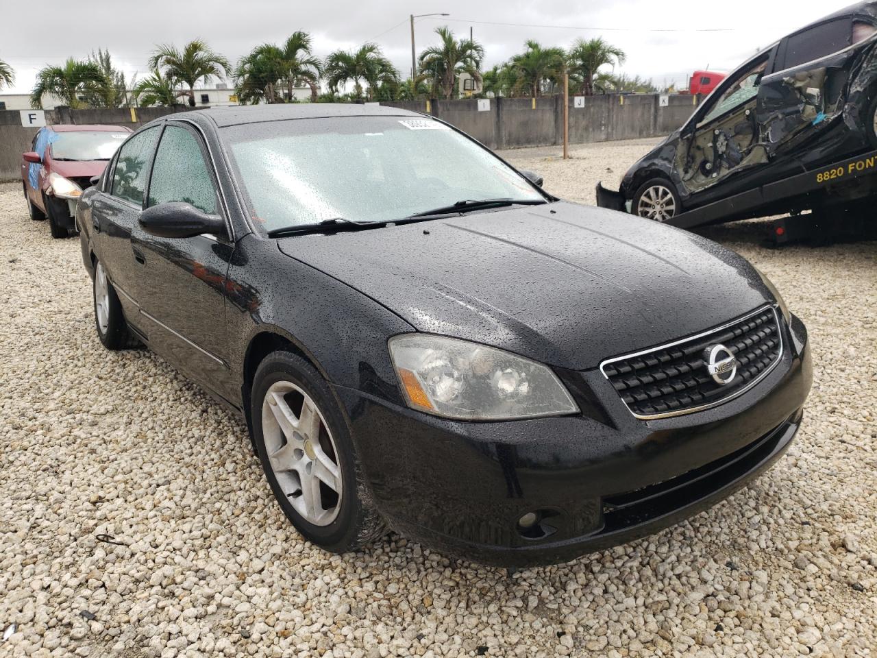 NISSAN ALTIMA S 2005 with VIN 1N4AL11E85C339712 - Photo from auction
