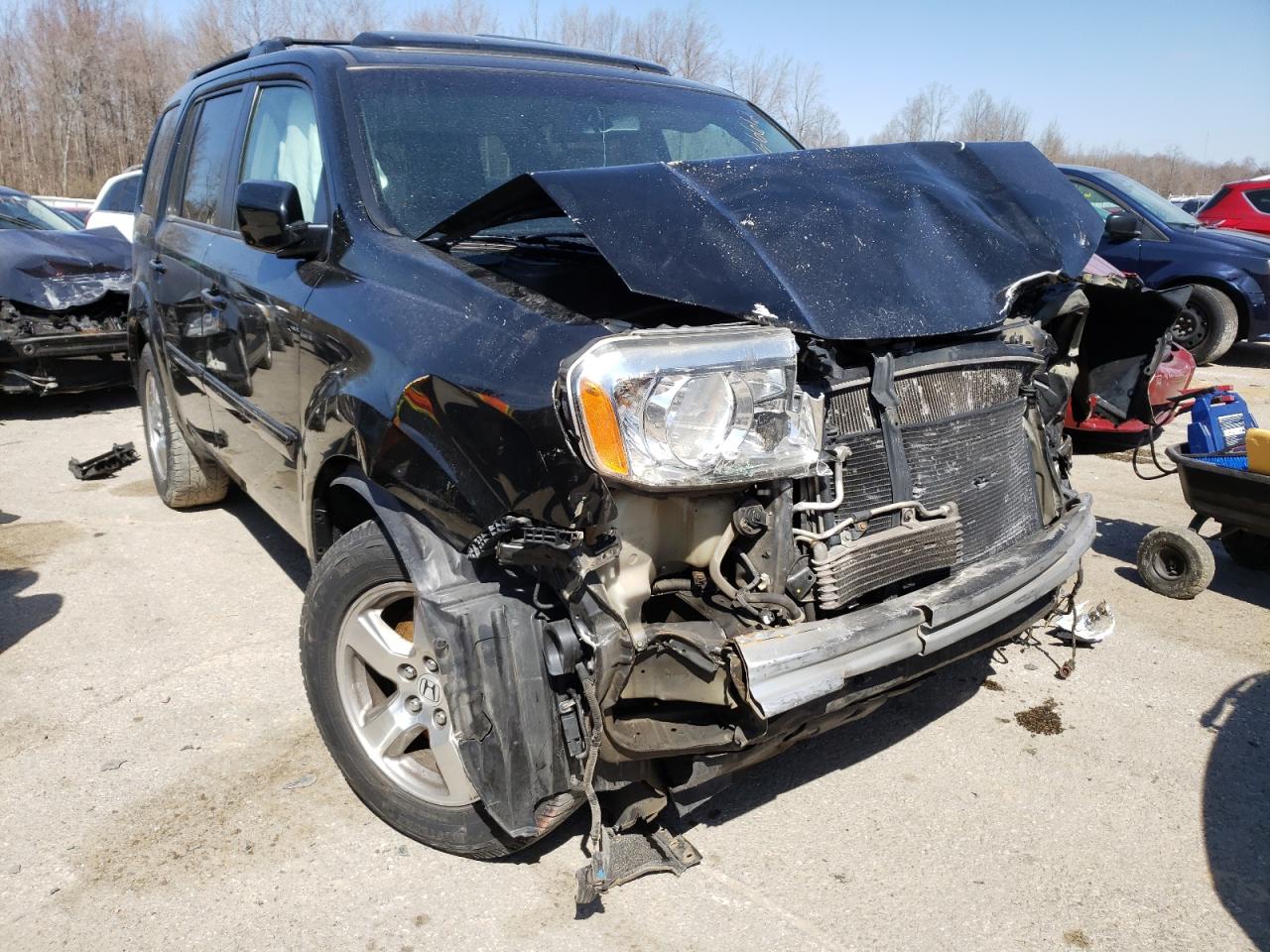 HONDA PILOT EXL 2009 with VIN 5FNYF38679B006078 - Photo from auction