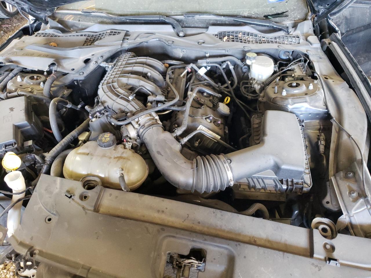 Photo 7 from auction – 2017 FORD MUSTANG with VIN 1FA6P8AM0H5210074