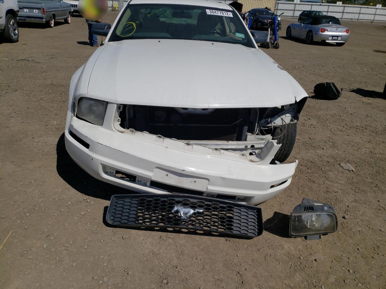 Photo 9 from auction – 2007 FORD MUSTANG with VIN 1ZVFT80N975296481