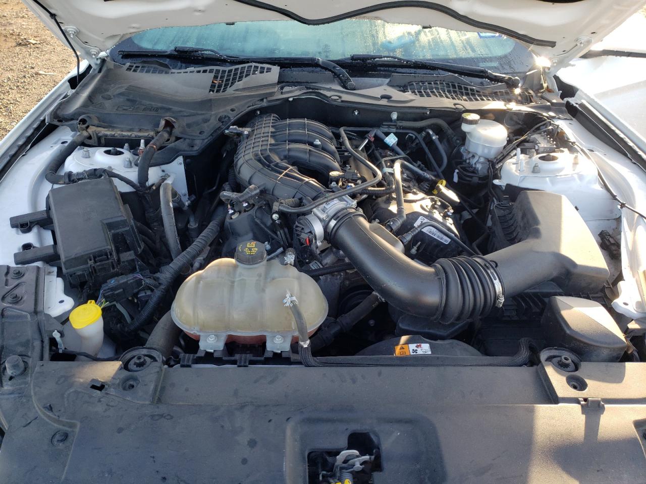 Photo 7 from auction – 2017 FORD MUSTANG with VIN 1FA6P8AM1H5247408
