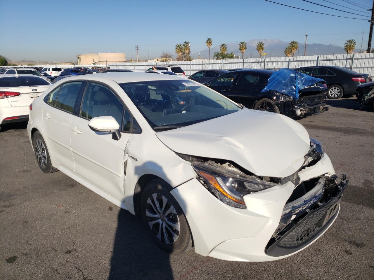 TOYOTA COROLLA LE 2021 with VIN JTDEAMDE5MJ009325 - Photo from auction