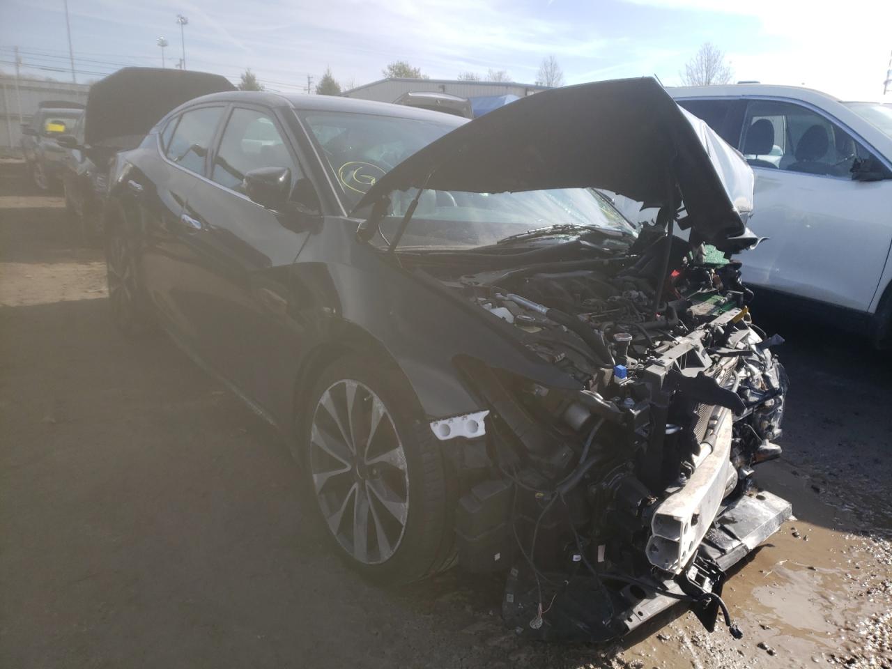 NISSAN MAXIMA 3.5 2016 with VIN 1N4AA6AP5GC445560 - Photo from auction