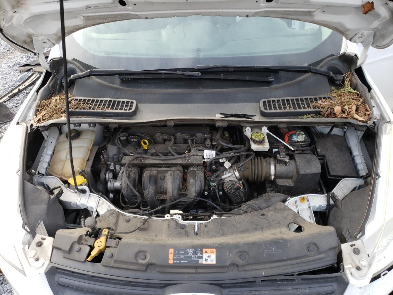 Photo 7 from auction – 2014 FORD ESCAPE S with VIN 1FMCU0F72EUE44594