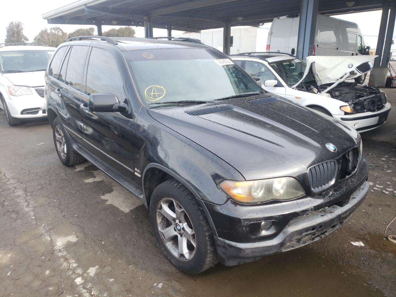 BMW X5 3.0I 2005 with VIN 5UXFA13585LY09254 - Photo from auction