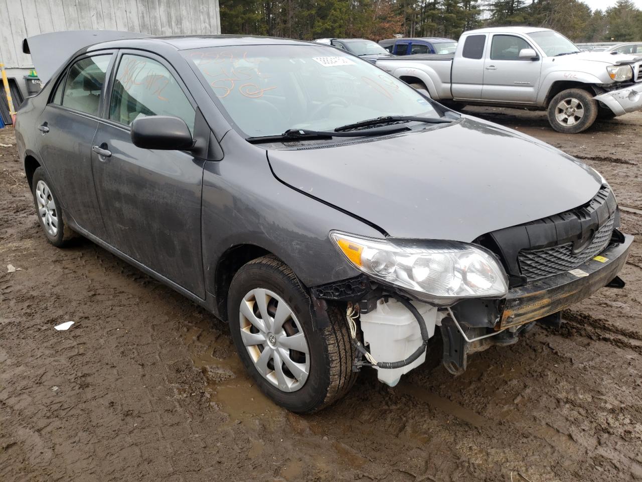 TOYOTA COROLLA BA 2010 with VIN 2T1BU4EE8AC302359 - Photo from auction