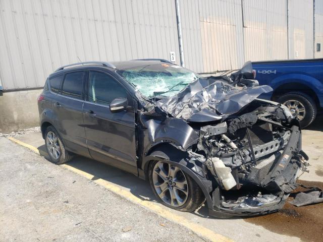 FORD ESCAPE TIT 2014 with VIN 1FMCU0J91EUB57904 - Photo from auction