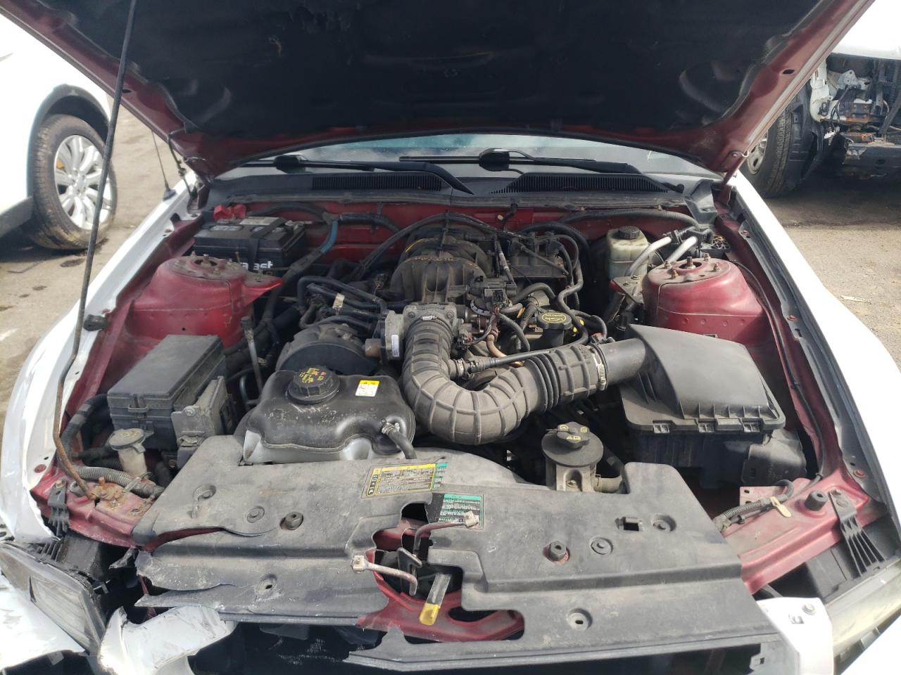 Photo 7 from auction – 2005 FORD MUSTANG with VIN 1ZVFT80N655117746