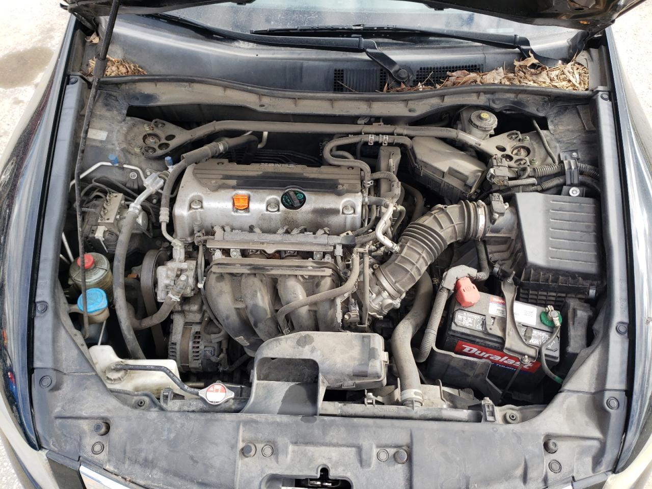 Photo 7 from auction – 2010 HONDA ACCORD EXL with VIN 1HGCP2F81AA062490