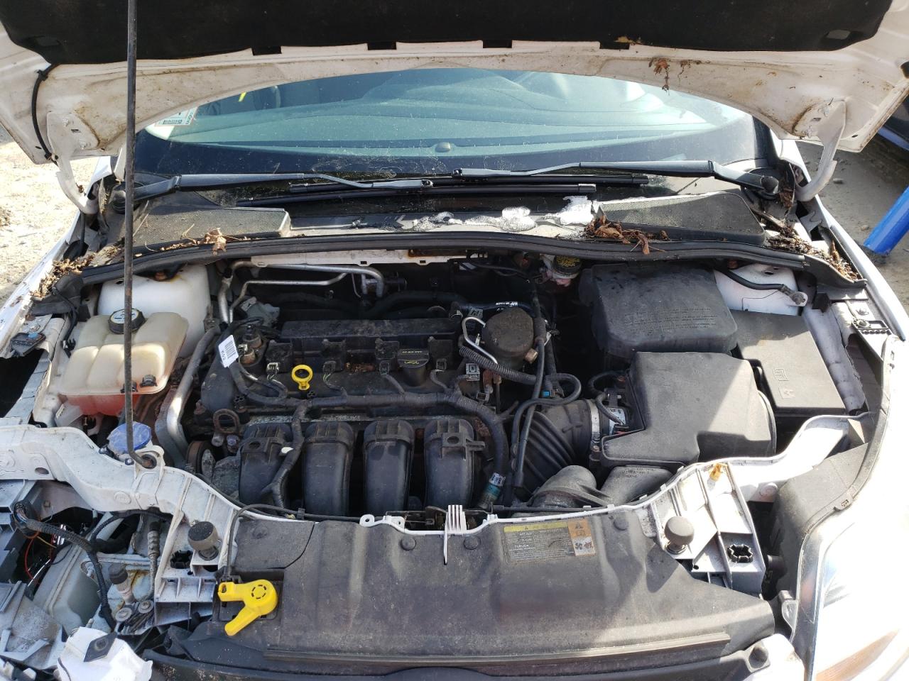 Photo 7 from auction – 2012 FORD FOCUS SE with VIN 1FAHP3F28CL363051