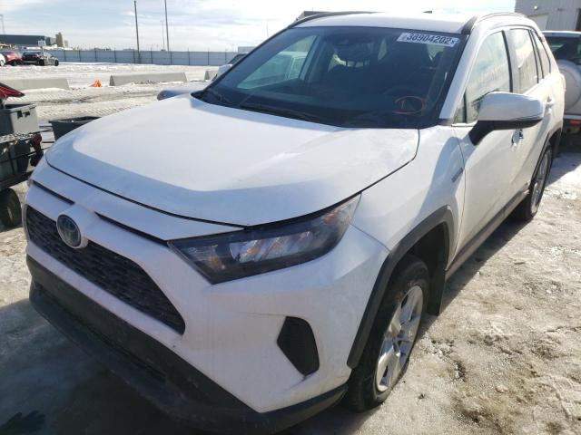 Photo 5 from auction – 2019 TOYOTA RAV4 LE with VIN 2T3BWRFV9KW010118