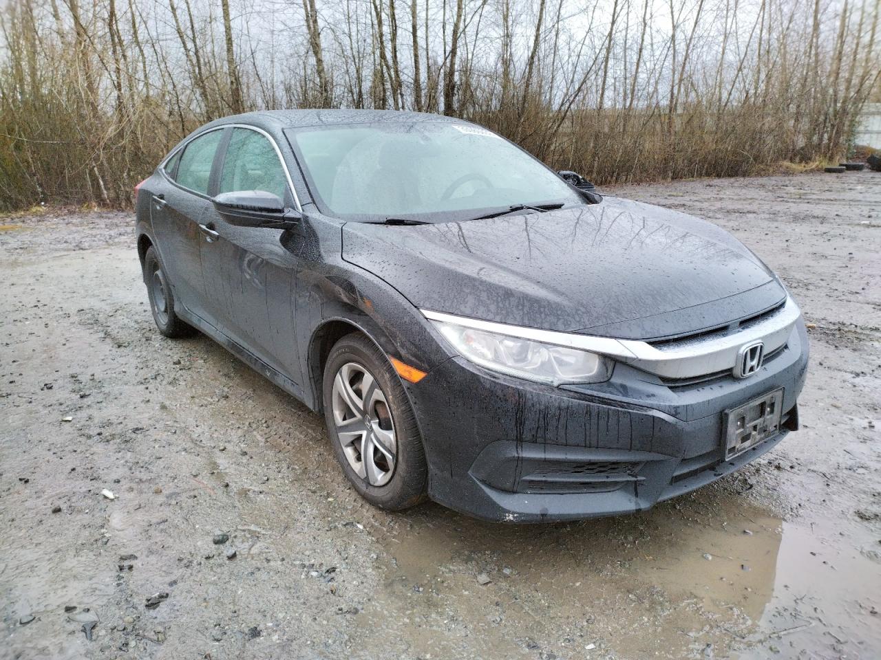 HONDA CIVIC LX 2016 with VIN 2HGFC2F54GH531239 - Photo from auction