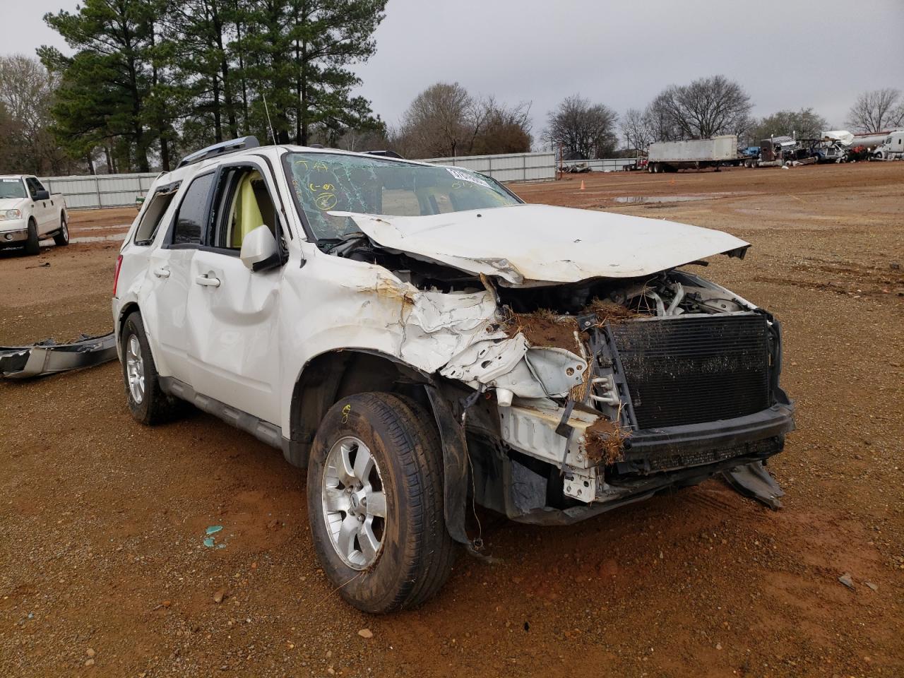 FORD ESCAPE LIM 2009 with VIN 1FMCU04779KC30754 - Photo from auction