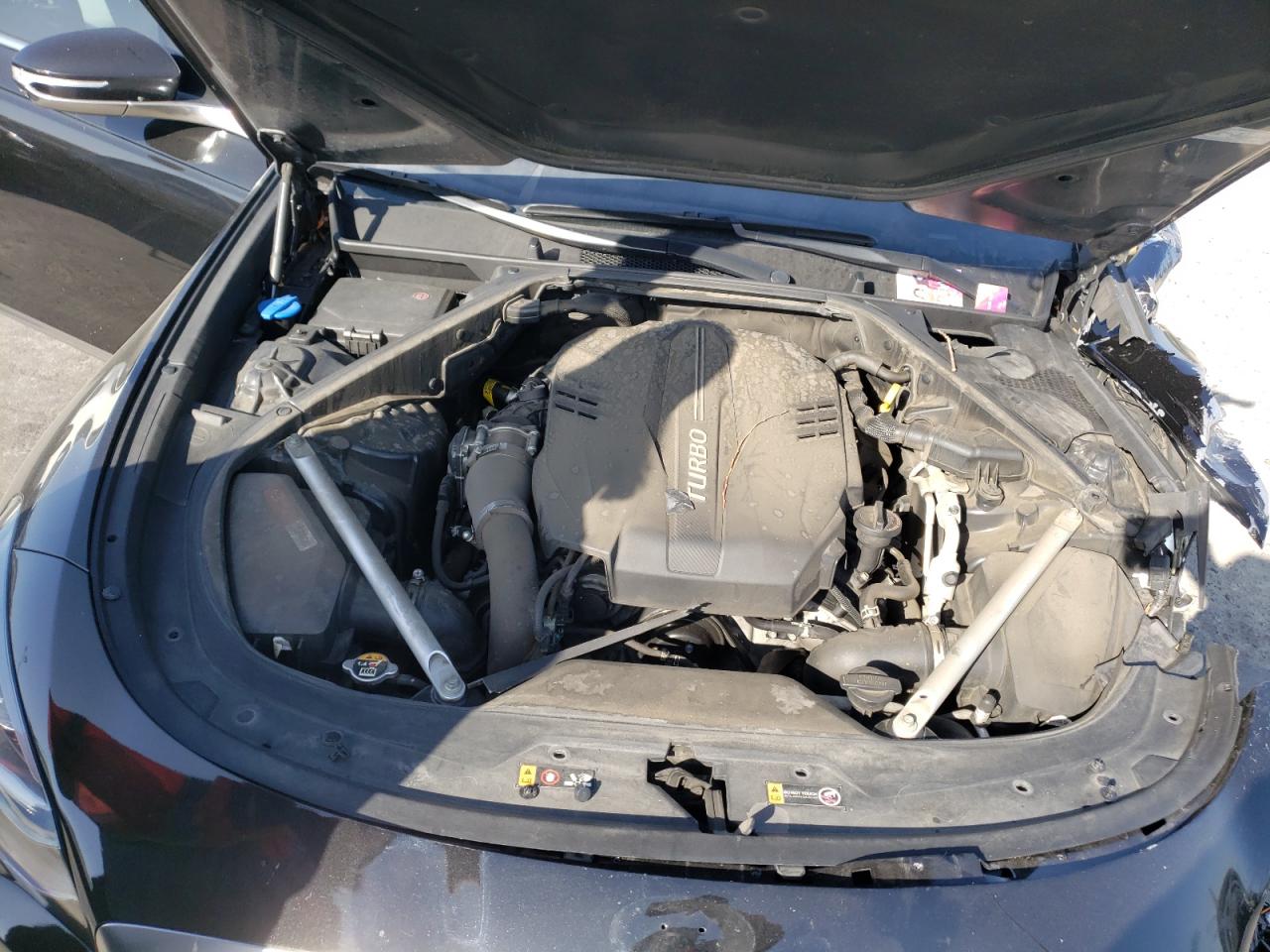 Photo 7 from auction – 2019 KIA K900 LUXUR with VIN KNAS34J68K6014297