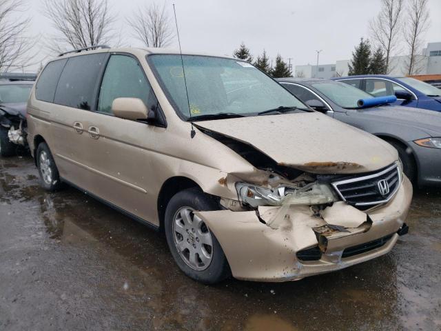 HONDA ODYSSEY EX 2002 with VIN 2HKRL18902H000819 - Photo from auction