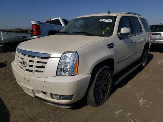 Photo 2 from auction – 2010 CADILLAC ESCALADE P with VIN 1GYUKCEF3AR147902