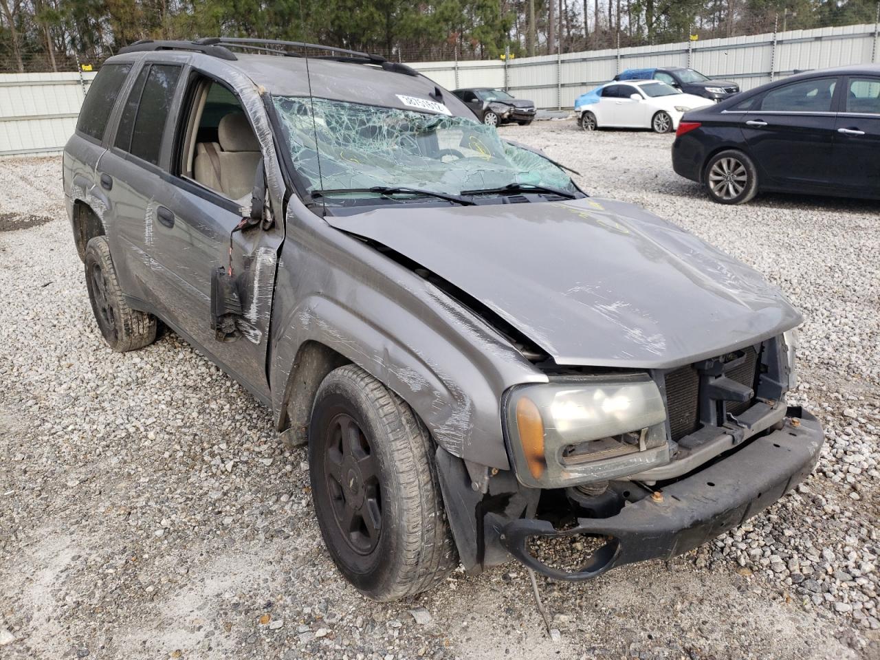 CHEVROLET TRAILBLAZE 2006 with VIN 1GNDS13S562155596 - Photo from auction