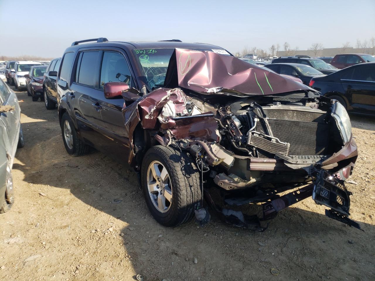 HONDA PILOT EXL 2011 with VIN 5FNYF4H65BB074357 - Photo from auction