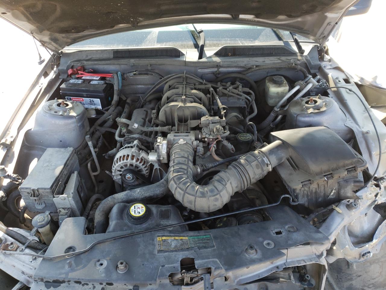 Photo 7 from auction – 2007 FORD MUSTANG with VIN 1ZVFT80N775255637