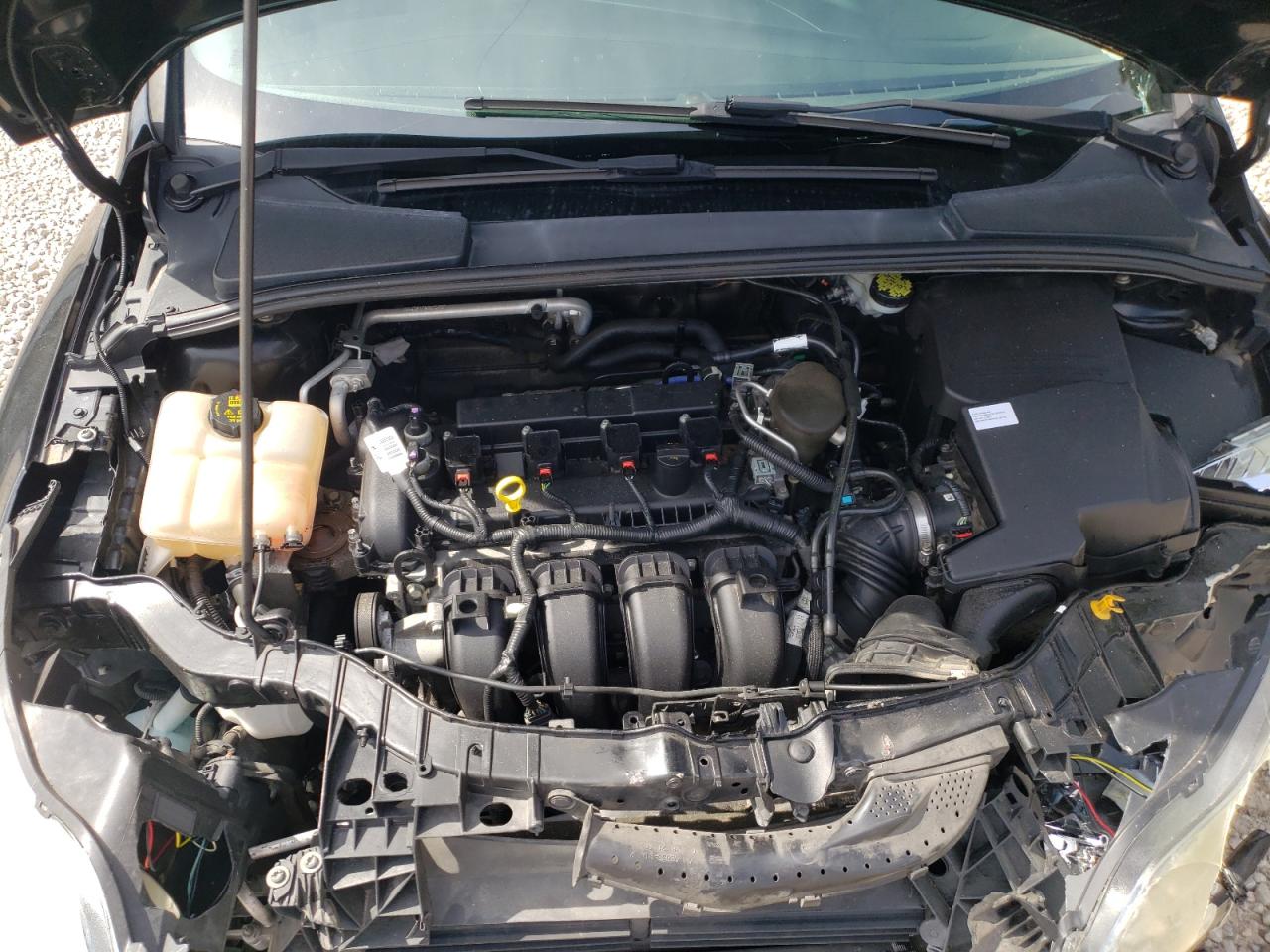 Photo 7 from auction – 2014 FORD FOCUS with VIN 1FADP3F29EL394035