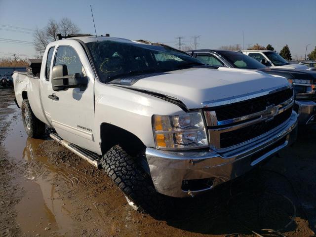 CHEVROLET SILVERADO 2011 with VIN 1GC5K0C82BZ169176 - Photo from auction