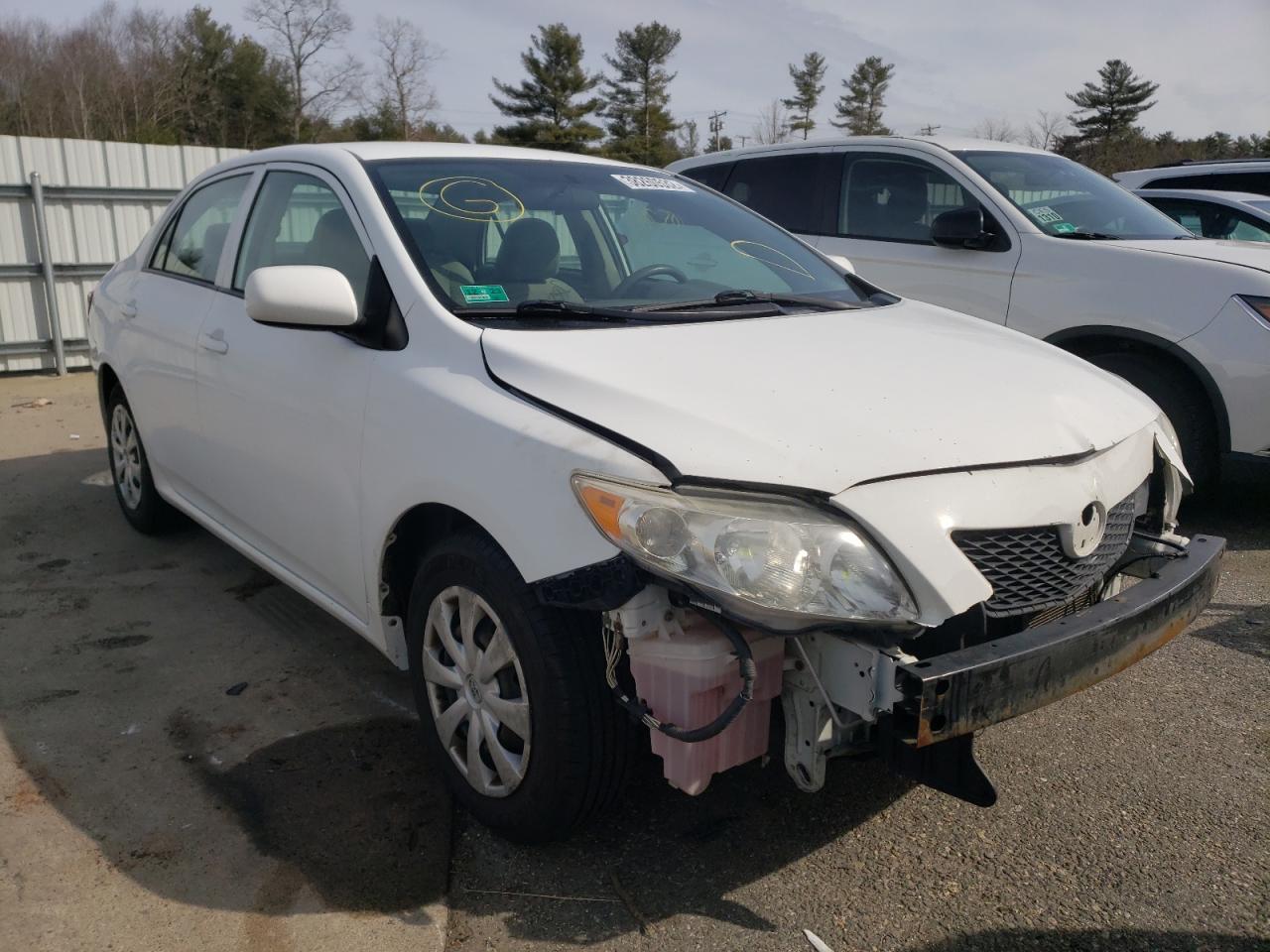 TOYOTA COROLLA BA 2010 with VIN 2T1BU4EE8AC230112 - Photo from auction