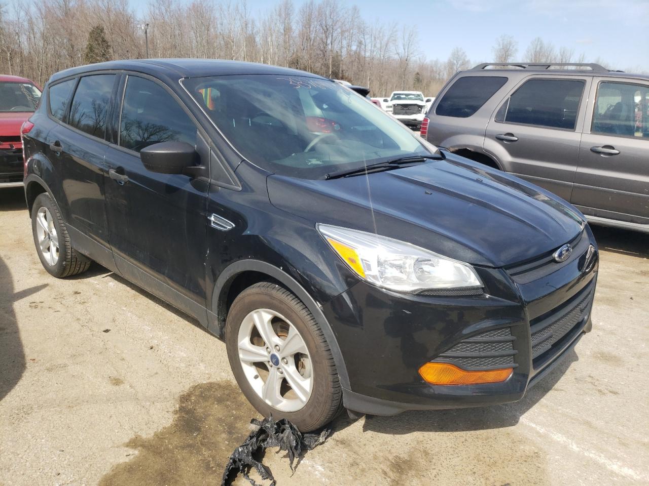 FORD ESCAPE S 2014 with VIN 1FMCU0F79EUE46942 - Photo from auction