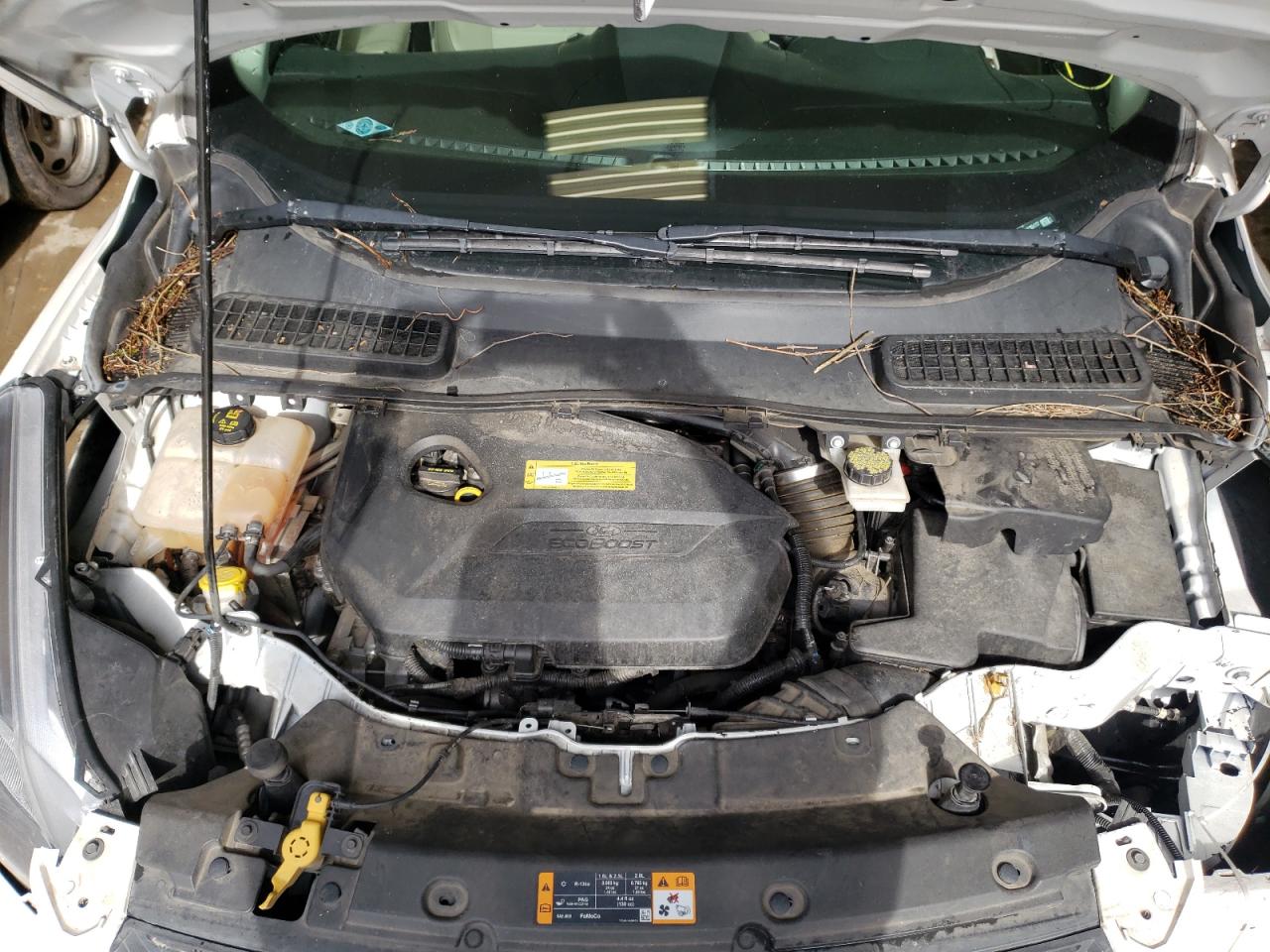 Photo 7 from auction – 2014 FORD ESCAPE SE with VIN 1FMCU0GX7EUA35117