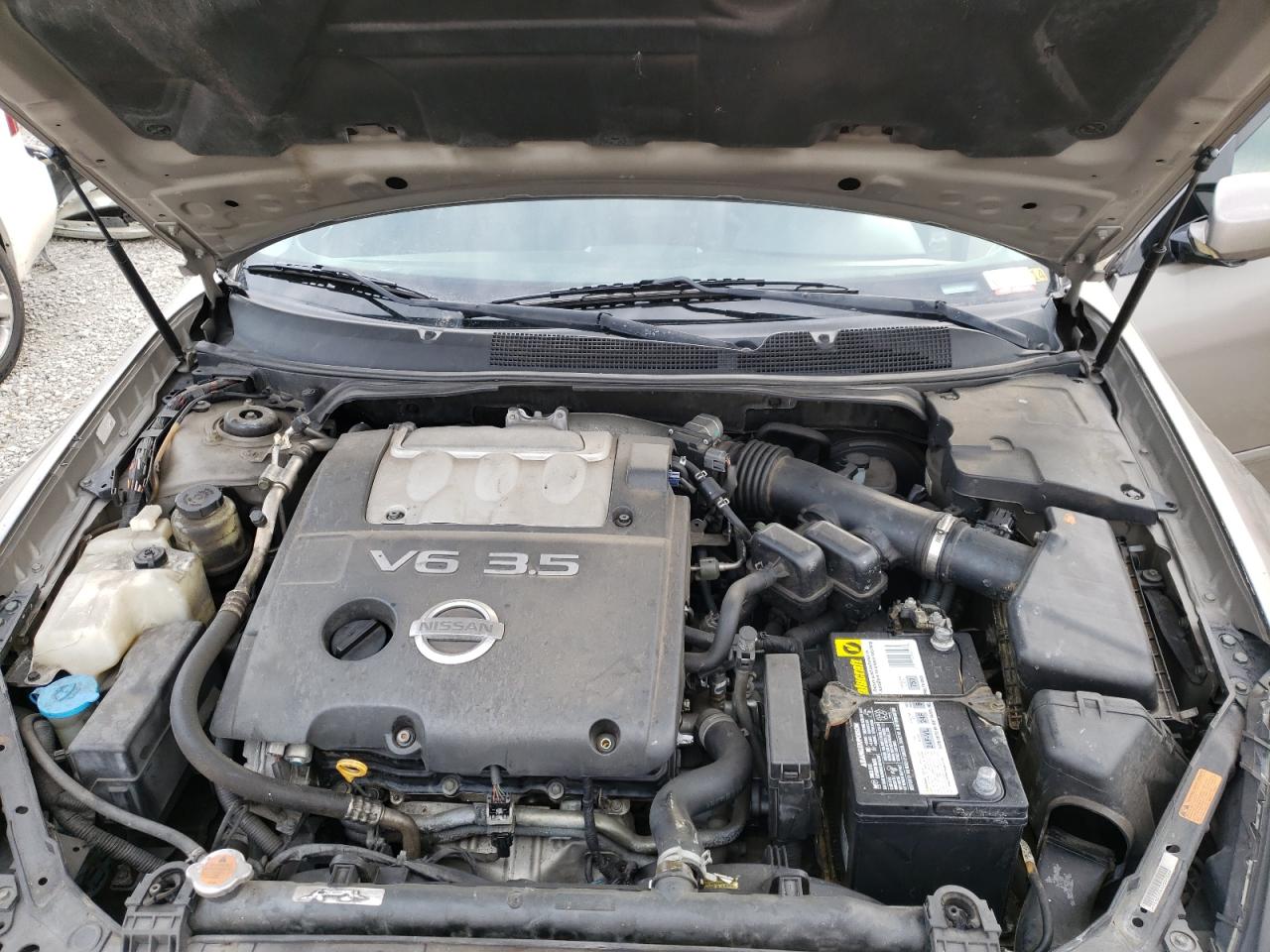 Photo 7 from auction – 2007 NISSAN MAXIMA SE with VIN 1N4BA41E97C846035