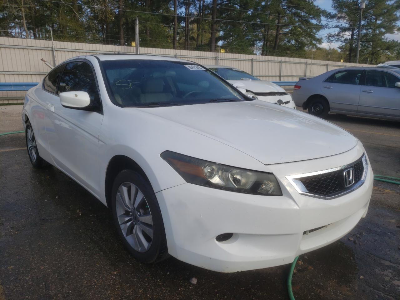 HONDA ACCORD EXL 2008 with VIN 1HGCS12878A007664 - Photo from auction