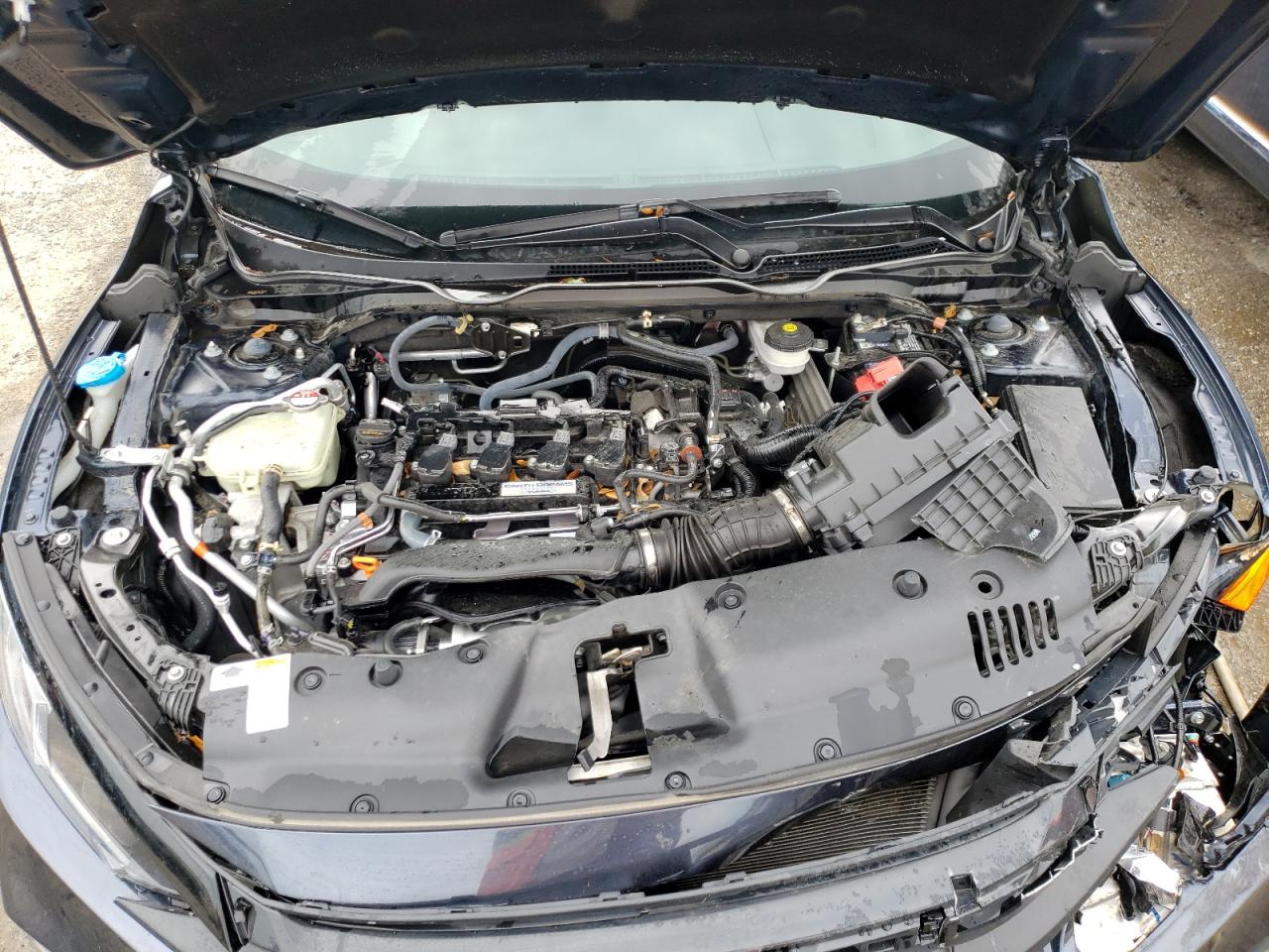 Photo 7 from auction – 2020 HONDA CIVIC EX with VIN 19XFC1F30LE002013