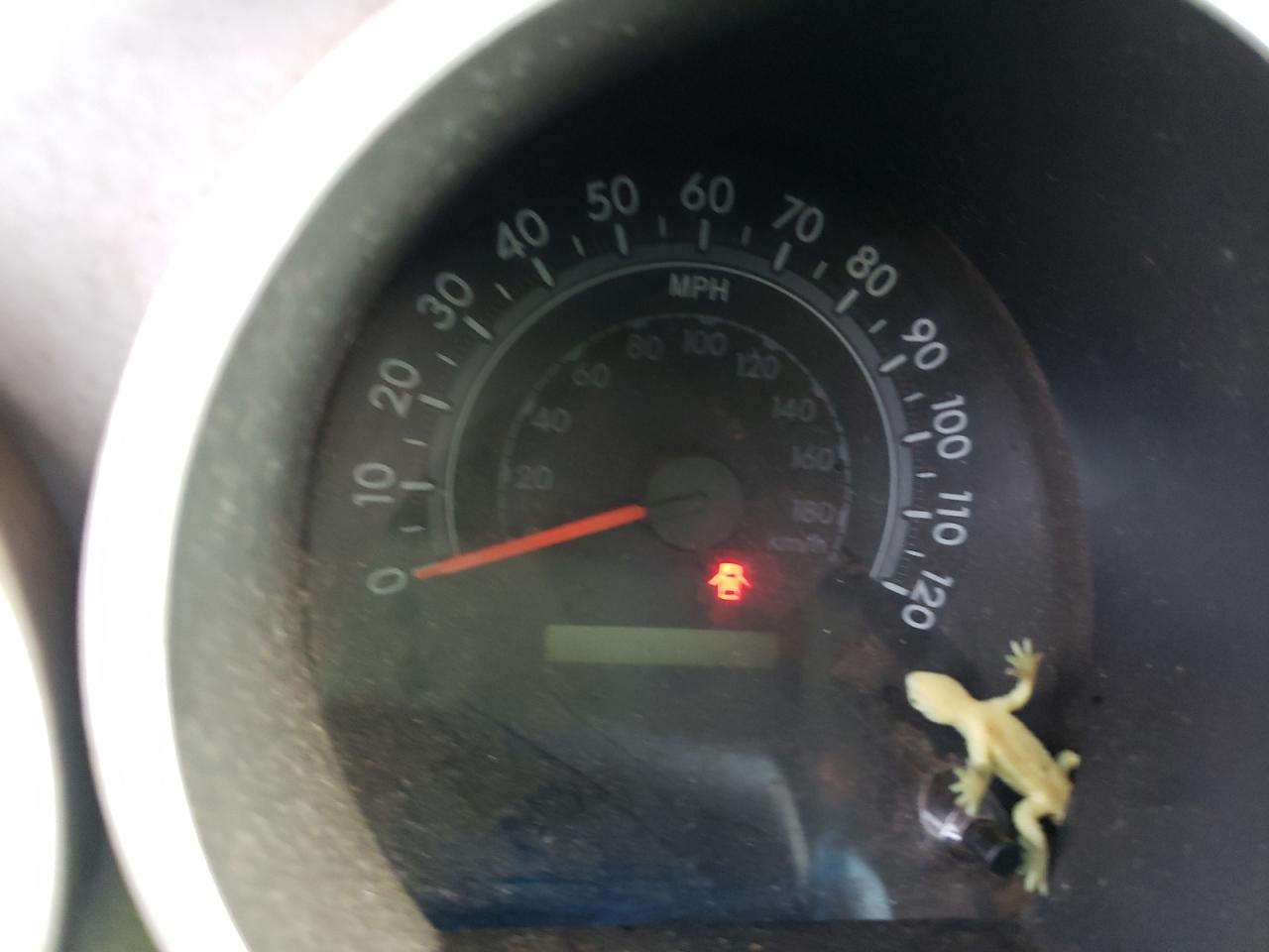 Photo 8 from auction – 2007 TOYOTA TUNDRA with VIN 5TFBV54117X026716