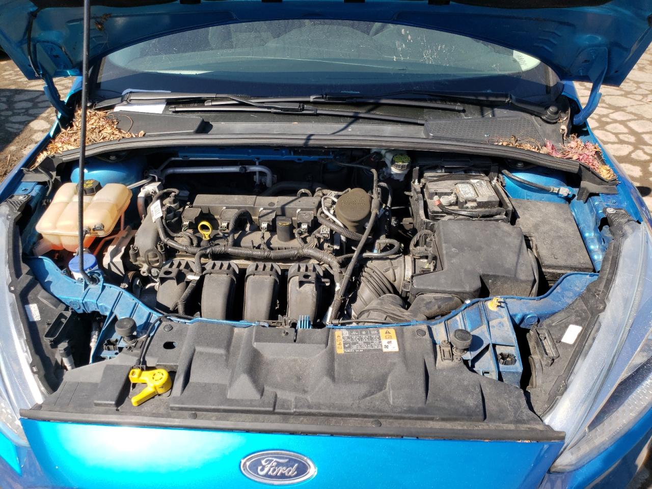 Photo 7 from auction – 2016 FORD FOCUS SE with VIN 1FADP3F23GL229634