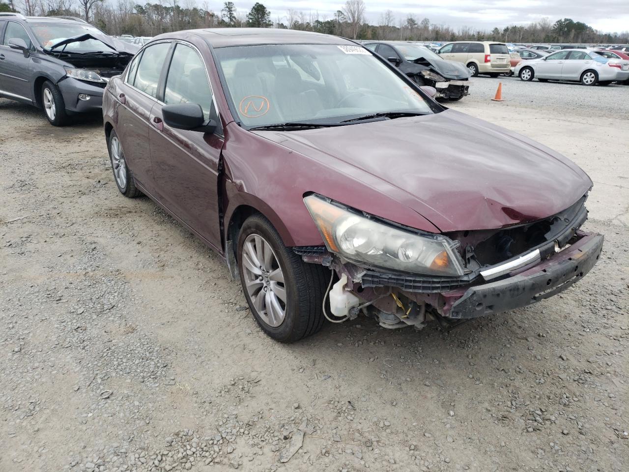HONDA ACCORD EXL 2011 with VIN 1HGCP2F85BA080444 - Photo from auction