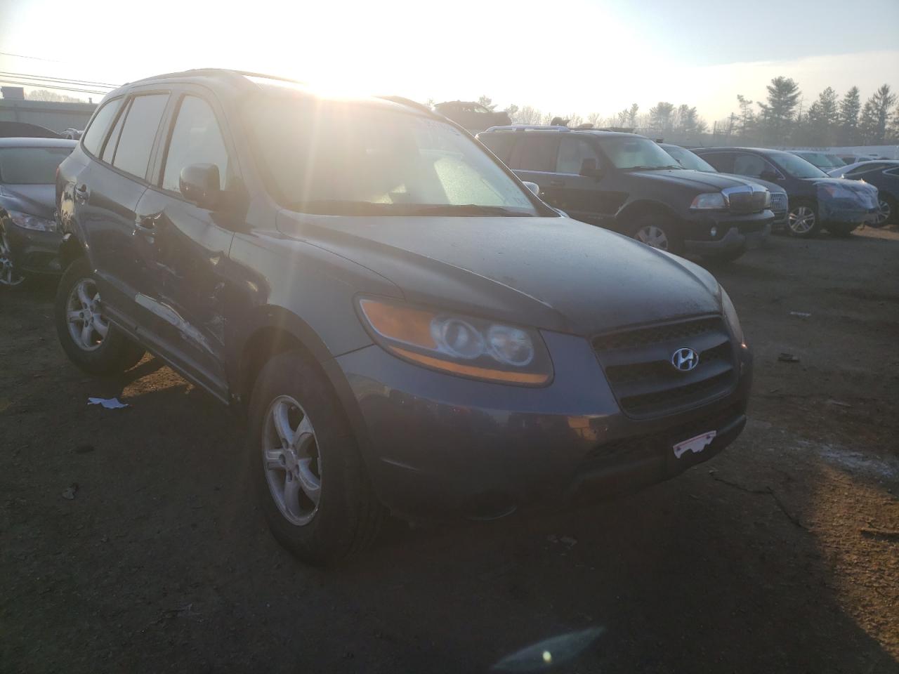 HYUNDAI SANTA FE G 2008 with VIN 5NMSG73D48H168926 - Photo from auction