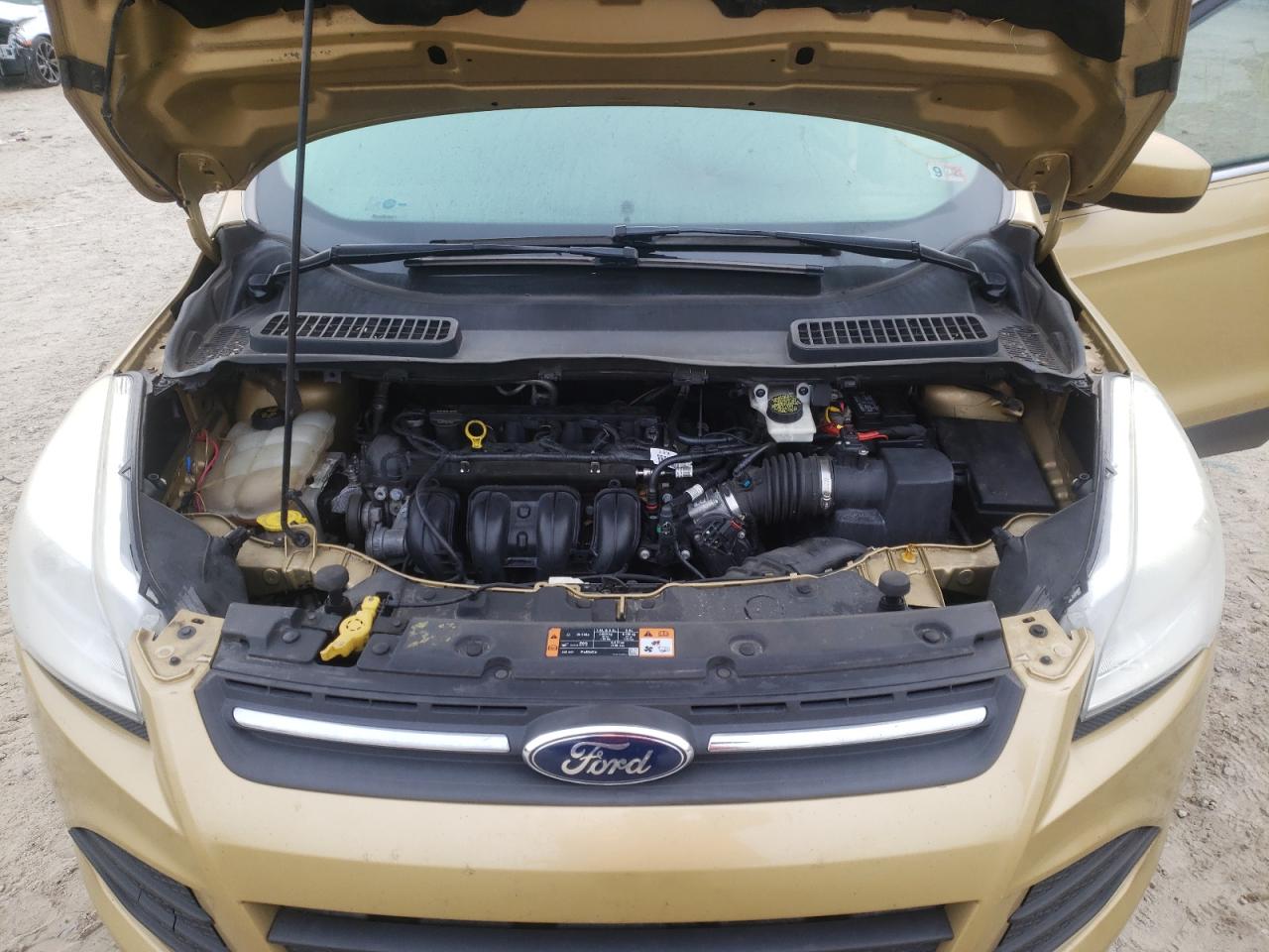 Photo 7 from auction – 2015 FORD ESCAPE SE with VIN 1FMCU0G7XFUB96773