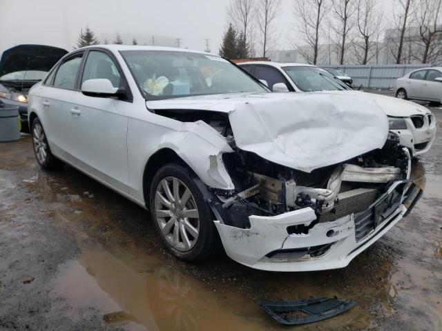 AUDI A4 PREMIUM 2014 with VIN WAUBFCFLXEN024985 - Photo from auction