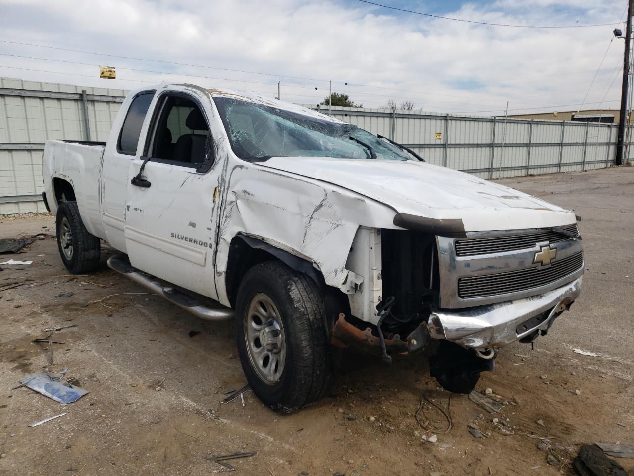 CHEVROLET SILVERADO 2009 with VIN 1GCEK19C29Z205847 - Photo from auction