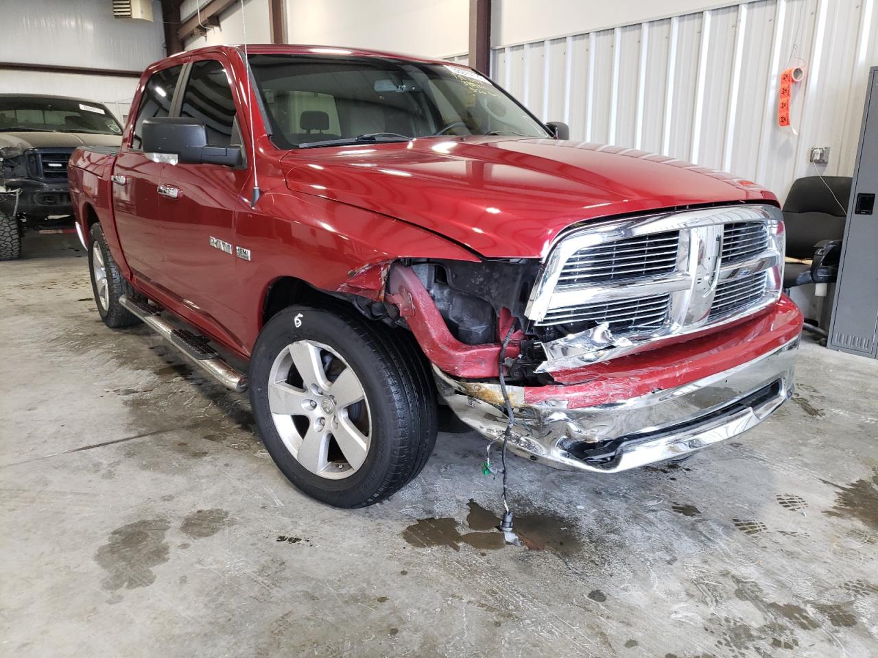 DODGE RAM 1500 2009 with VIN 1D3HB13T09J520318 - Photo from auction