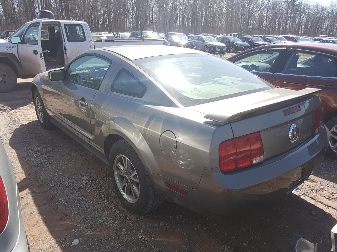 Photo 3 from auction – 2005 FORD MUSTANG with VIN 1ZVFT80N555148955