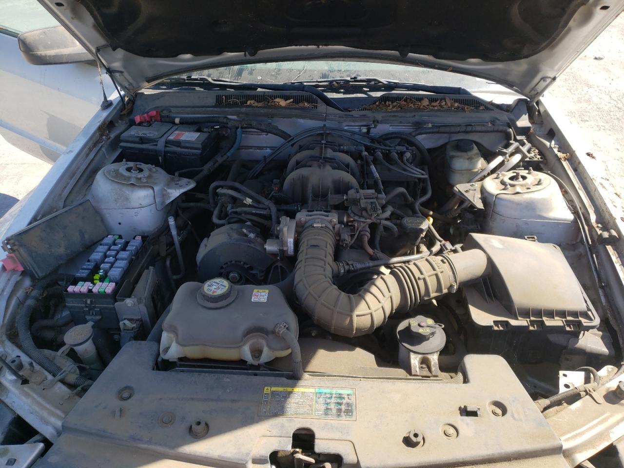 Photo 7 from auction – 2005 FORD MUSTANG with VIN 1ZVFT80N955137618