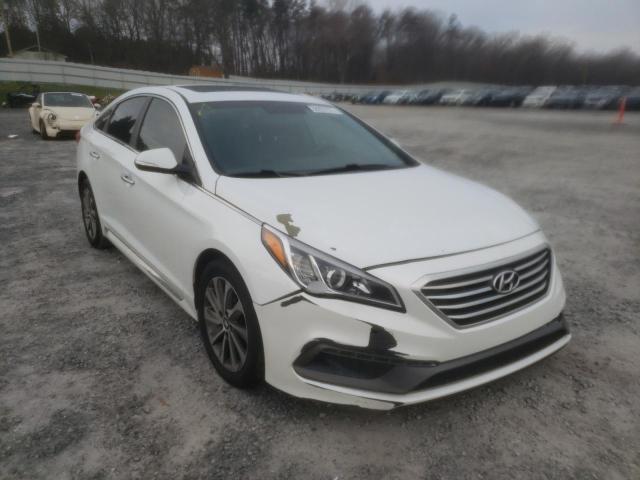 HYUNDAI SONATA SPO 2016 with VIN 5NPE34AF4GH424141 - Photo from auction