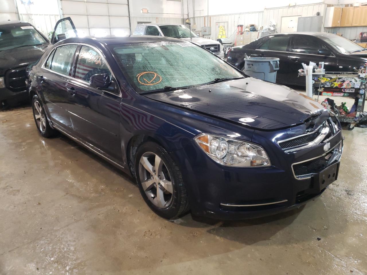 CHEVROLET MALIBU 1LT 2011 with VIN 1G1ZC5E10BF341856 - Photo from auction