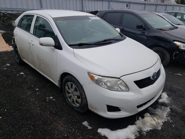 TOYOTA COROLLA BA 2010 مع رقم تعريف المركبة 2T1BU4EE5AC353219 - صورة من المزاد