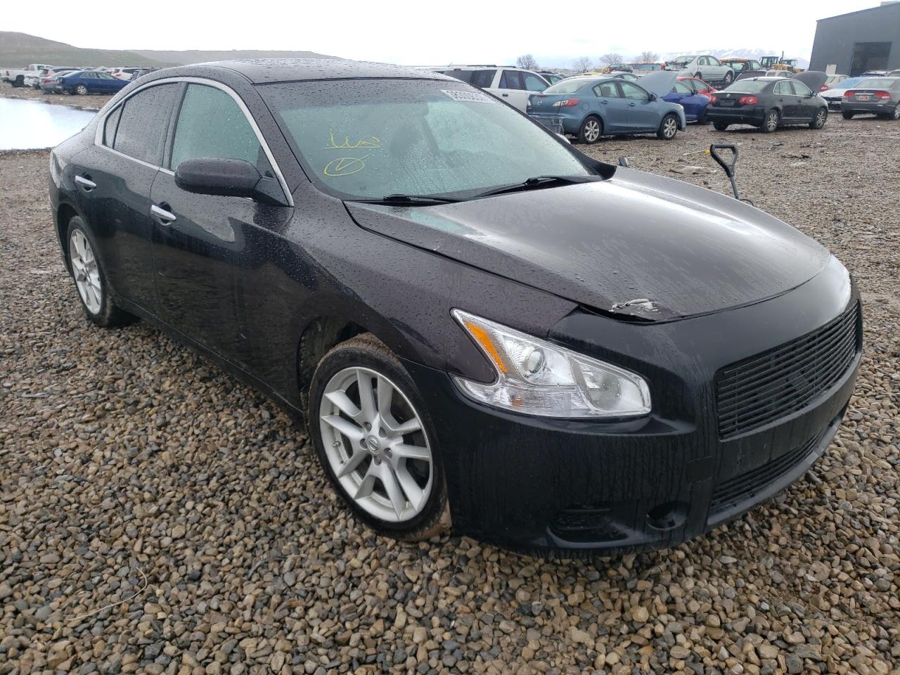 NISSAN MAXIMA S 2013 with VIN 1N4AA5AP8DC846297 - Photo from auction