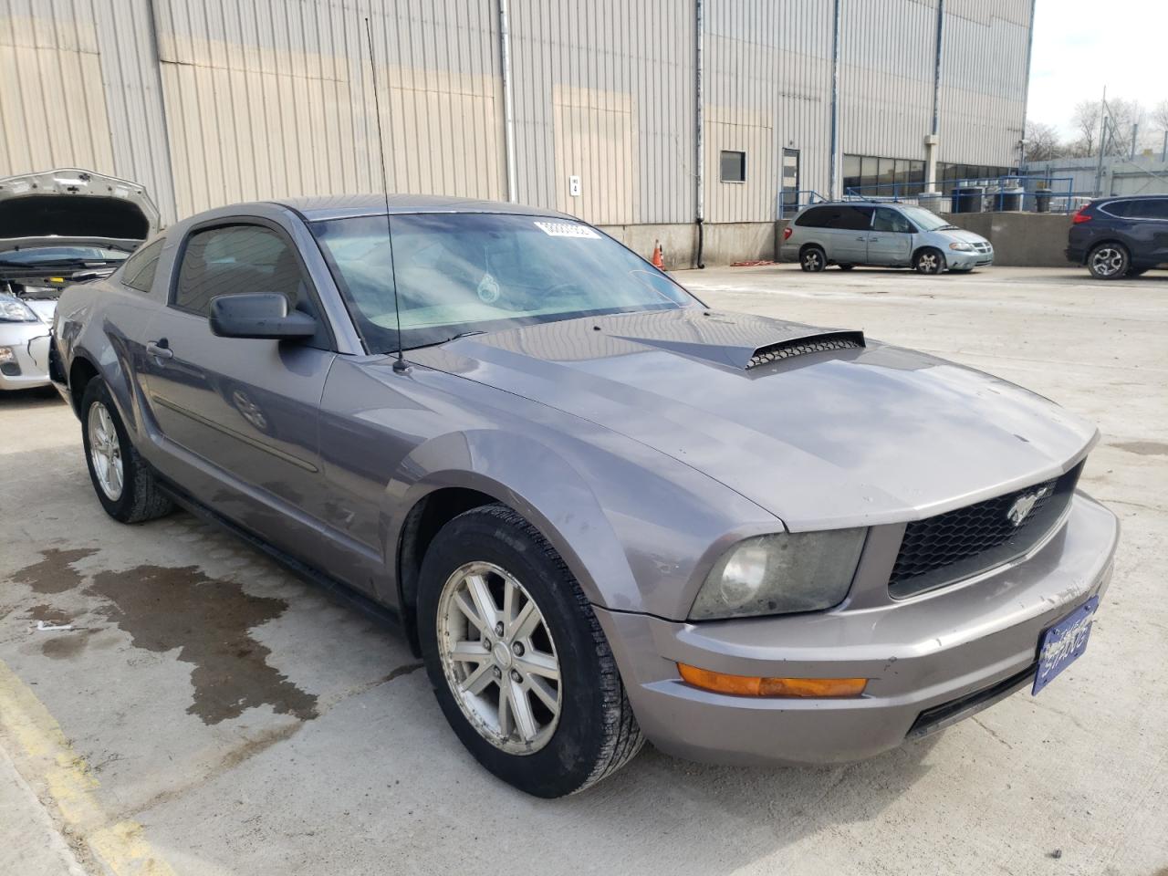 FORD MUSTANG 2007 with VIN 1ZVFT80N175307800 - Photo from auction